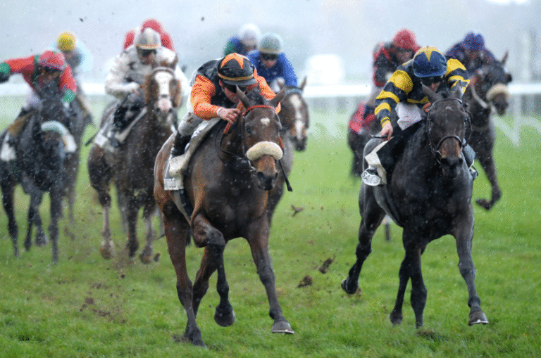 How Horse Racing Tracks Are Maintained and Managed
