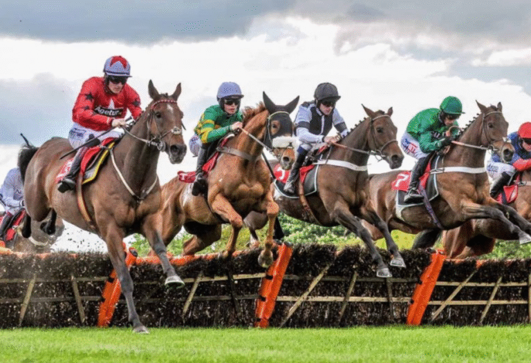 How to Choose the Right Horse Racing Bet for You