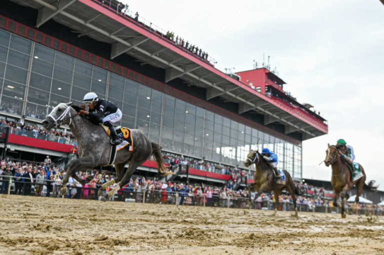 How to Follow Horse Racing: Top Websites and Resources for Fans and Bettors